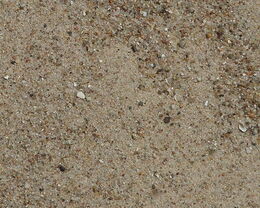Sand 0-1 mm gewaschen